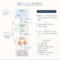 画像1013