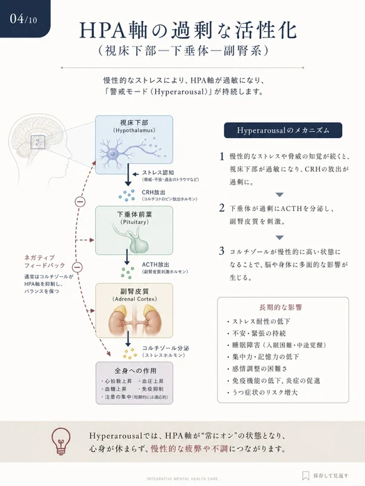 画像1013