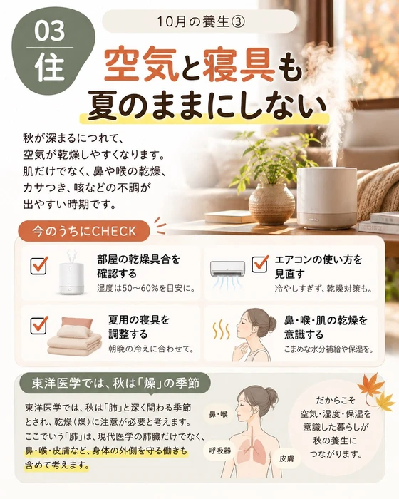 画像1261