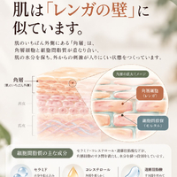 画像1273