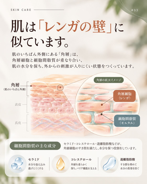 画像1273