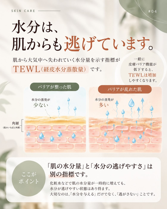 画像1274