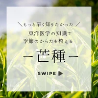 画像252