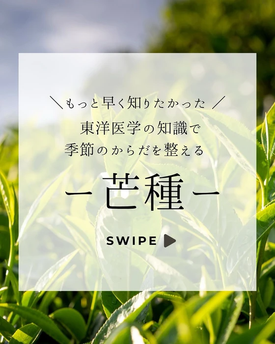画像252