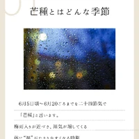 画像253