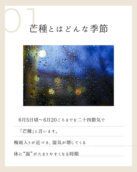 画像253