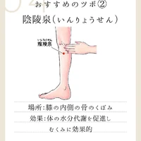 画像256