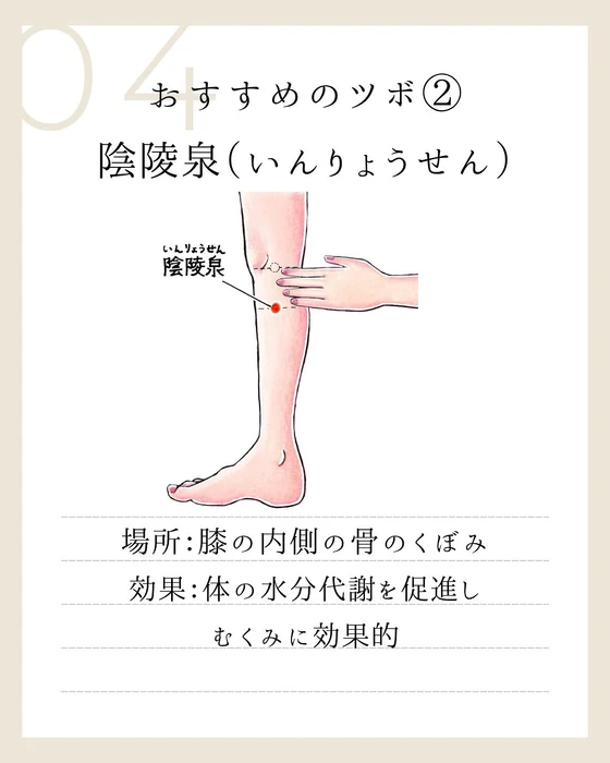 画像256