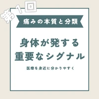 画像267
