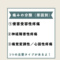 画像269