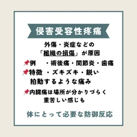 画像270