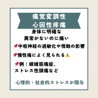 画像272