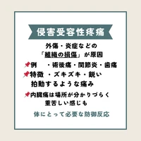 画像273
