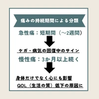 画像274