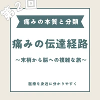 画像279
