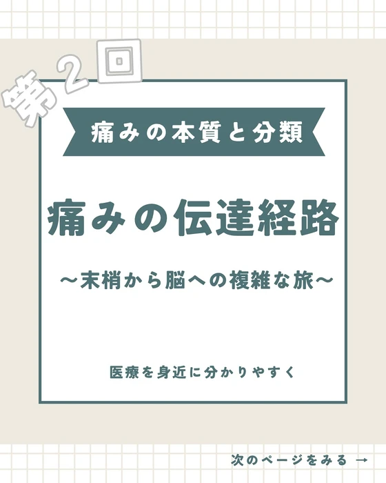 画像279