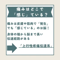 画像280