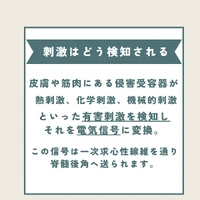 画像281