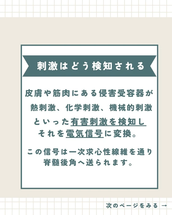 画像281