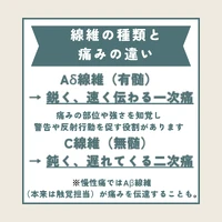 画像282