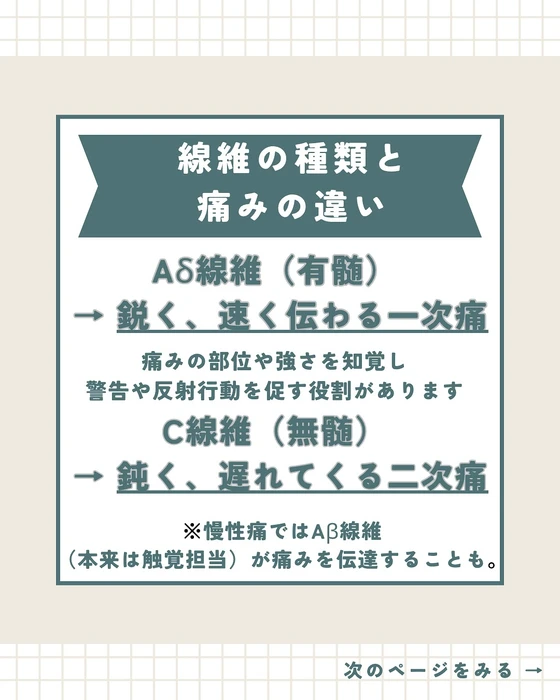 画像282