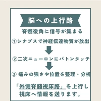 画像283