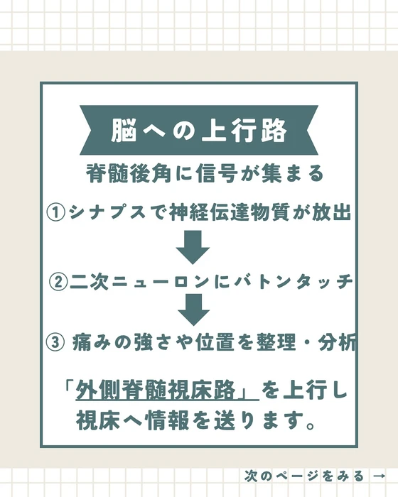 画像283