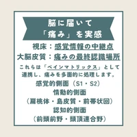 画像284