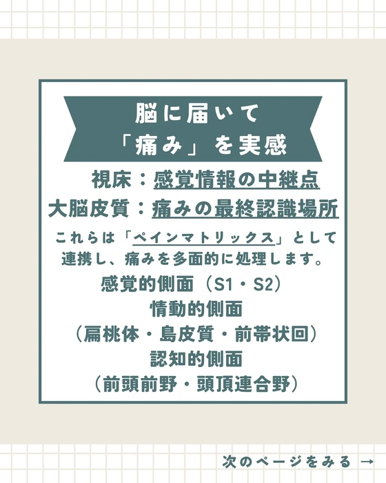画像284