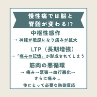 画像285