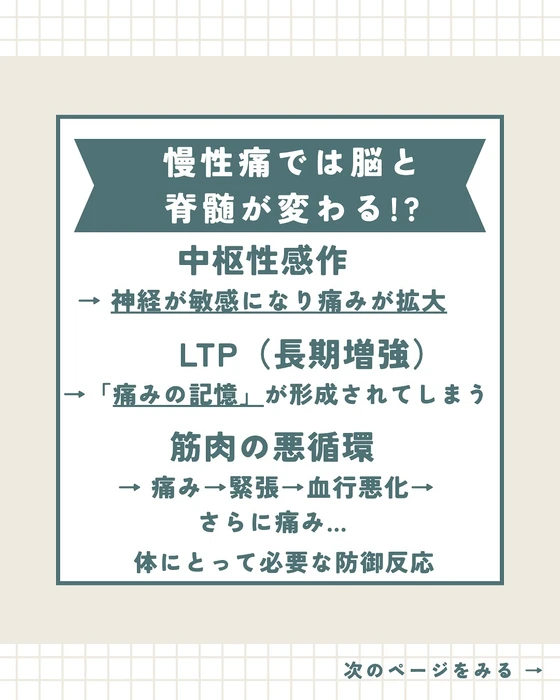 画像285