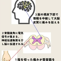 画像286