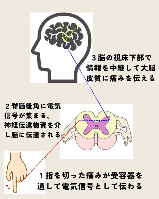 画像286