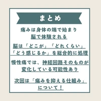 画像287