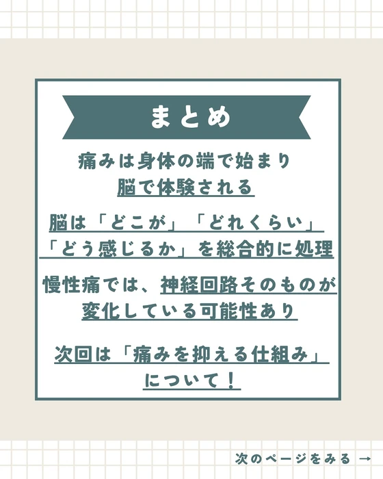 画像287
