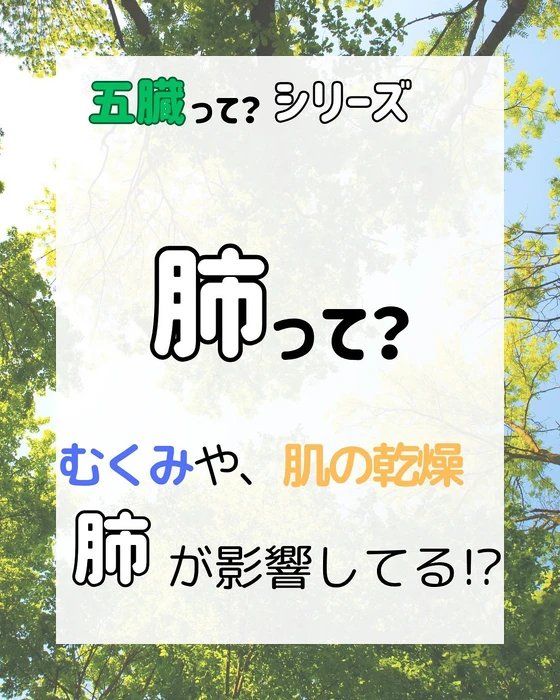 画像289