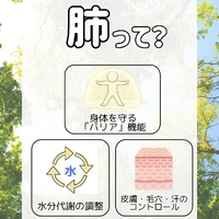 画像290