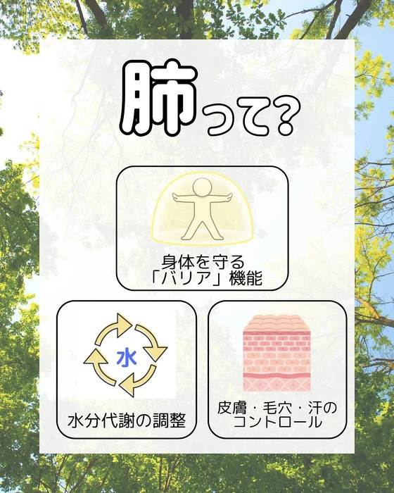画像290