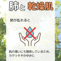 画像291