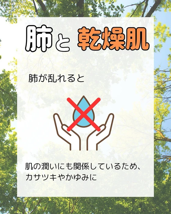 画像291