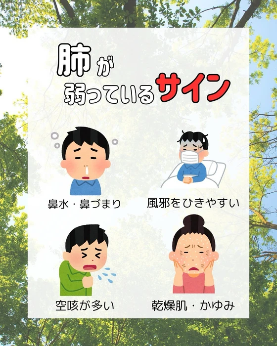 画像292