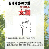 画像294