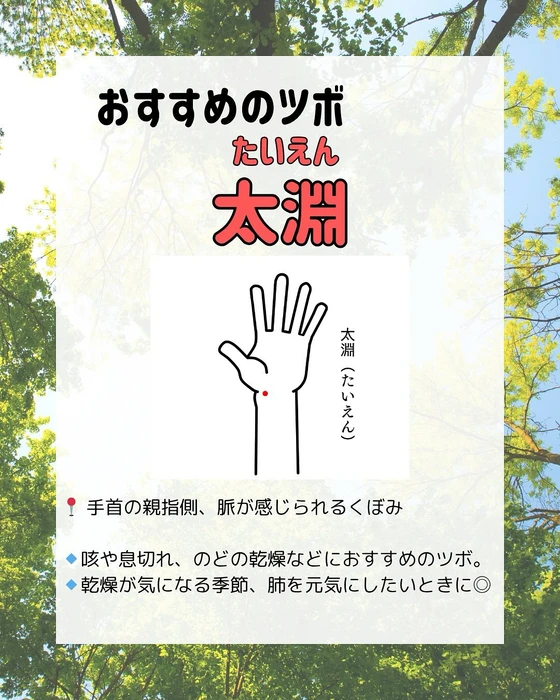 画像294