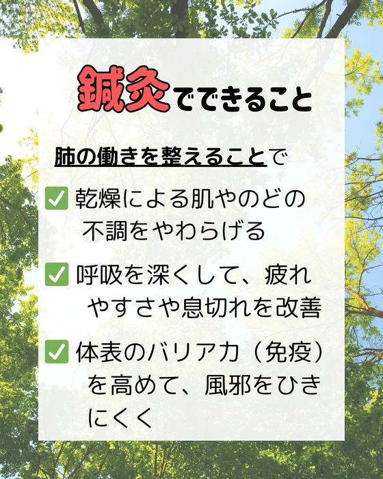 画像295
