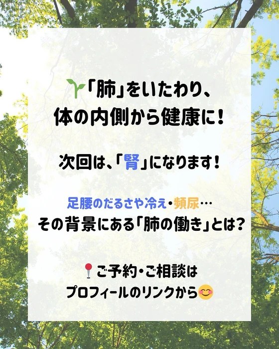 画像296
