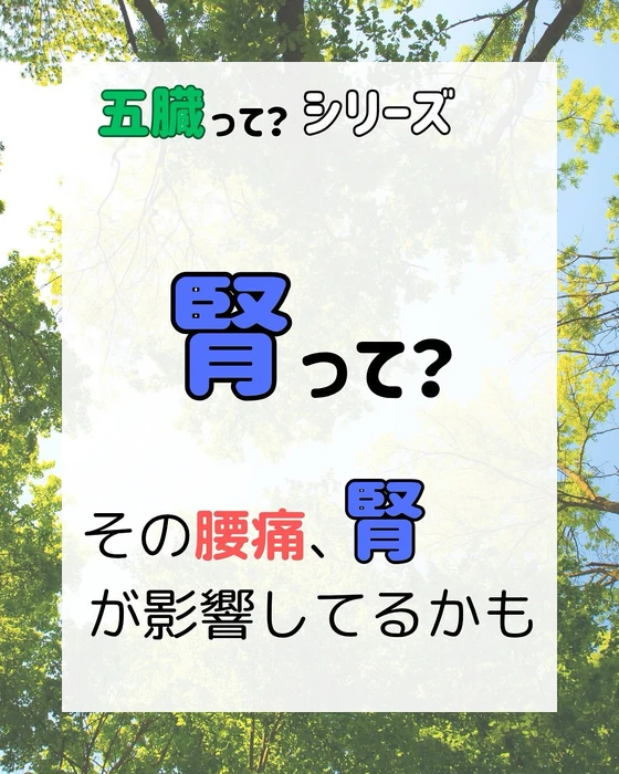 画像298