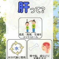 画像299