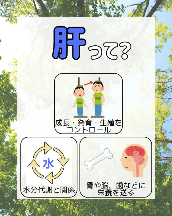 画像299