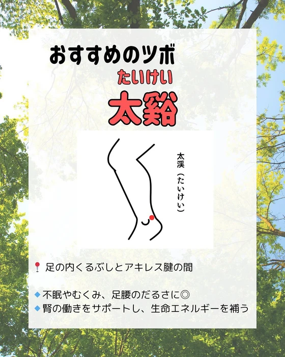 画像303