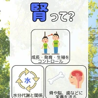 画像308